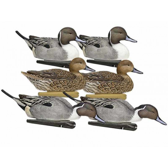 Formes de pilet AvianX actifs