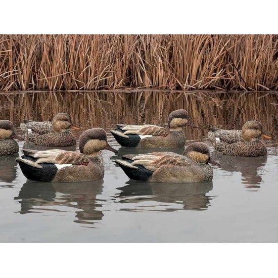 Formes de chipeau AvianX actifs HD