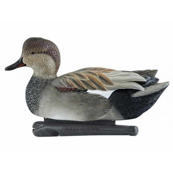 Formes de chipeau AvianX actifs HD