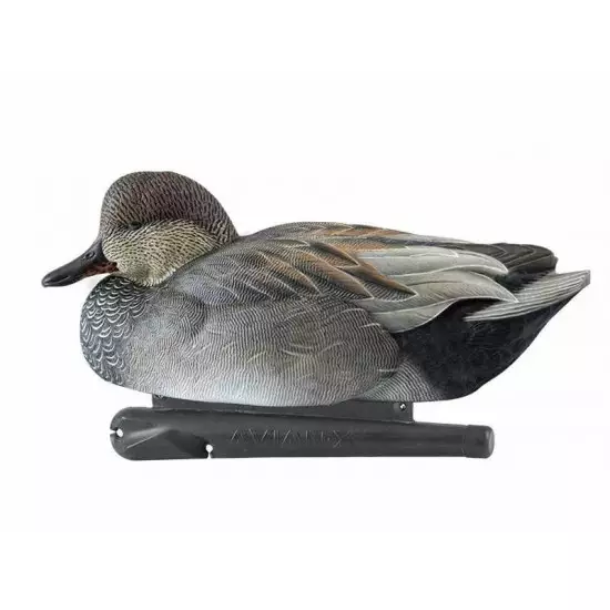 Formes de chipeau AvianX actifs HD