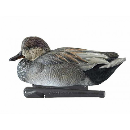 Formes de chipeau AvianX actifs HD