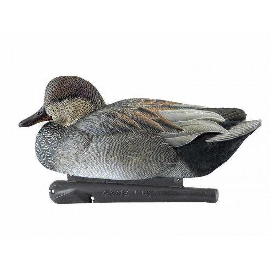 Formes de chipeau AvianX actifs HD