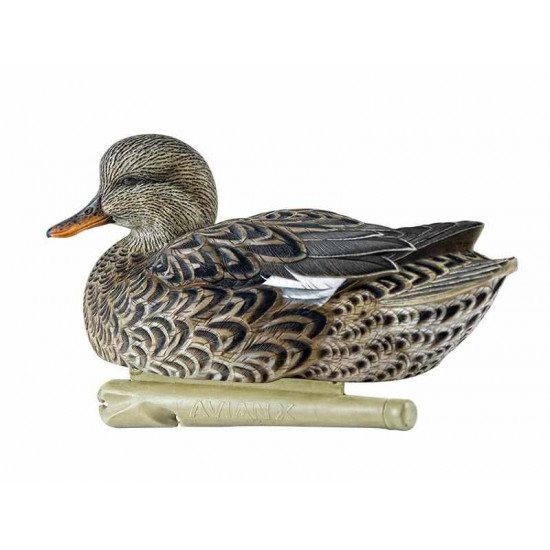 Formes de chipeau AvianX actifs HD