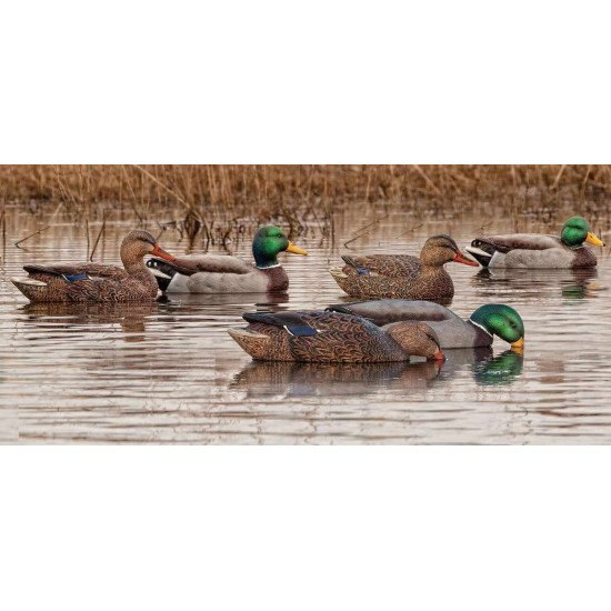 Formes de colvert AvianX actives HD