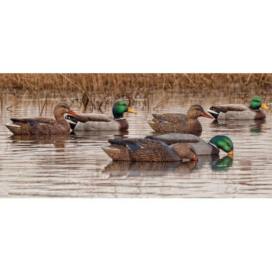 Formes de colvert AvianX actives HD