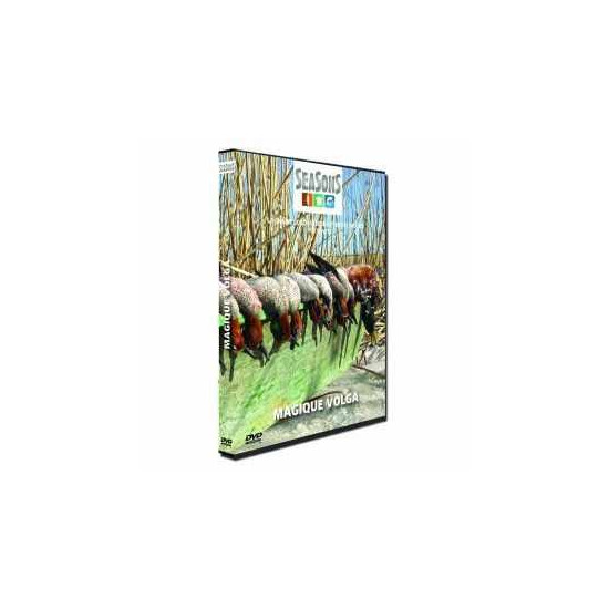 DVD de chasse Magique Volga