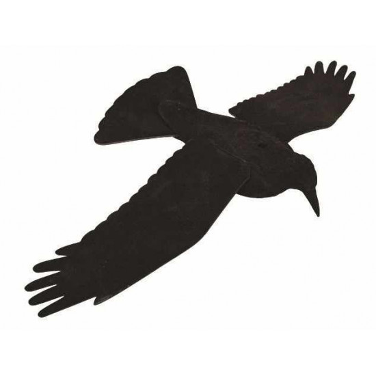 Forme de corbeau à ailes ouvertes