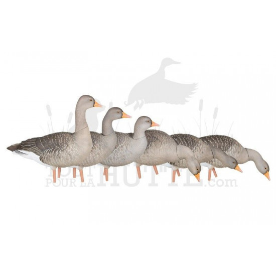 Formes d'oie cendrée sur pattes AvianX x6