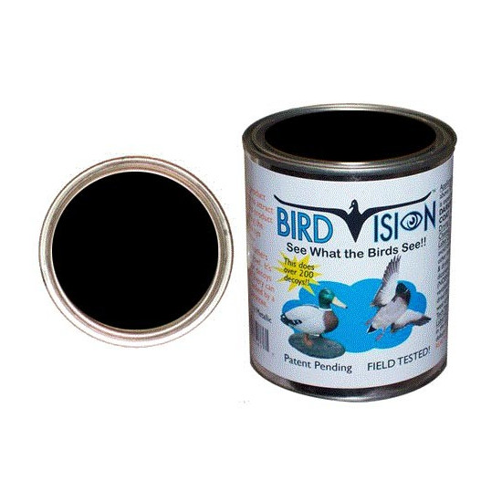 Peinture Bird Vision Noir