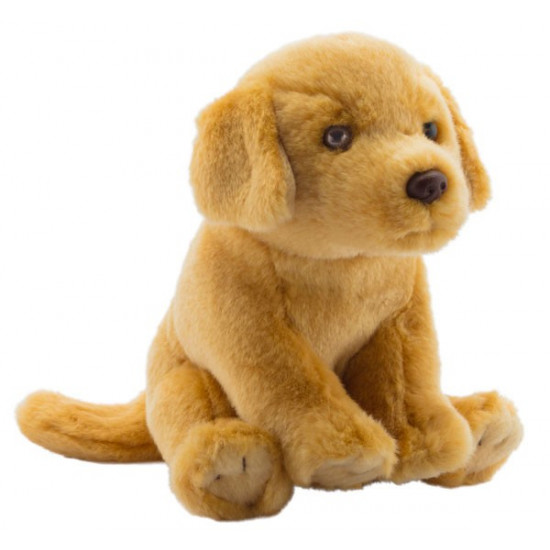 Peluche Golden Retriever 25 cm