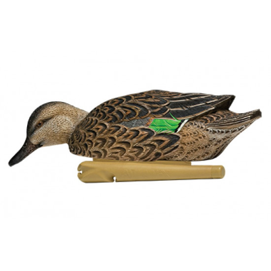 Formes de sarcelle AvianX HD