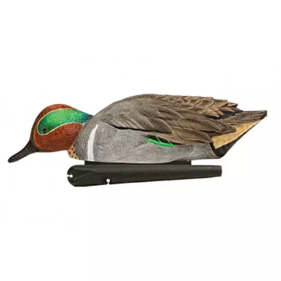 Formes de sarcelle AvianX HD