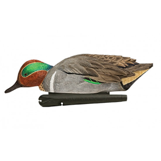 Formes de sarcelle AvianX HD