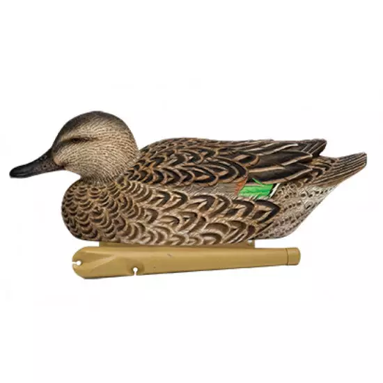 Formes de sarcelle AvianX HD