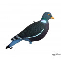 Forme Vision Pigeon HD active