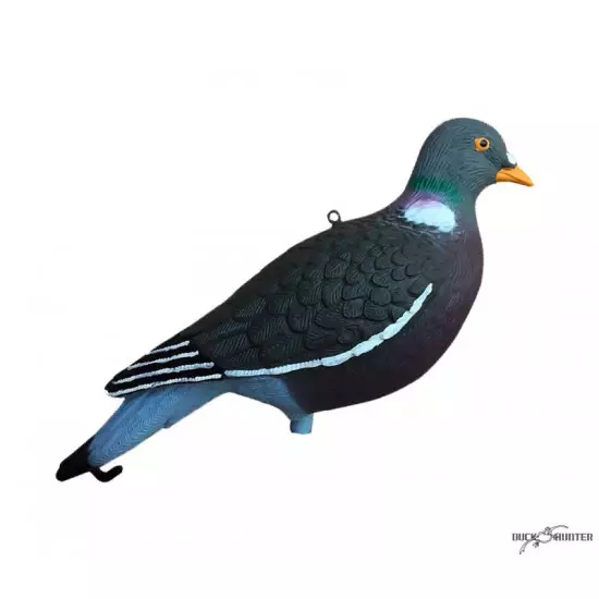 Formes Vision Pigeon HD UV x10