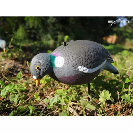 Formes Vision Pigeon HD UV x10