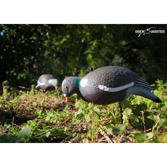 Formes Vision Pigeon HD UV x10