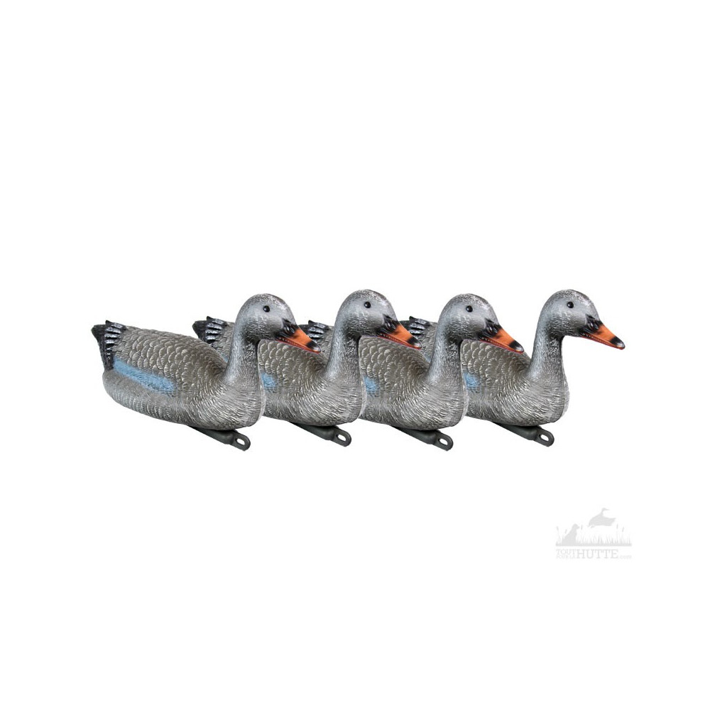 Blette d'oie cendrée flottante Blette d'oie cendrée flottante