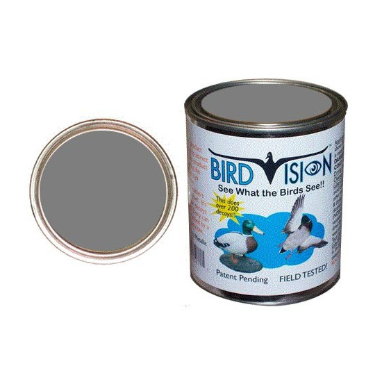 Peinture Bird Vision - Gris pigeon