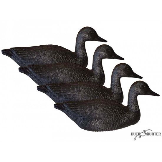 Forme d'oie noire flottante