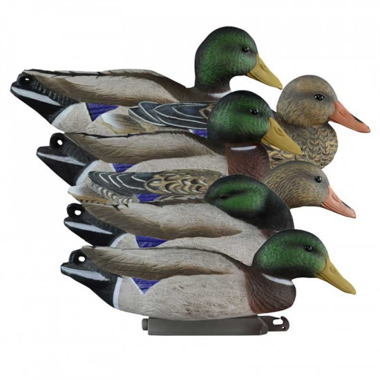 Forme de colvert actif insubmersible Higdon x6