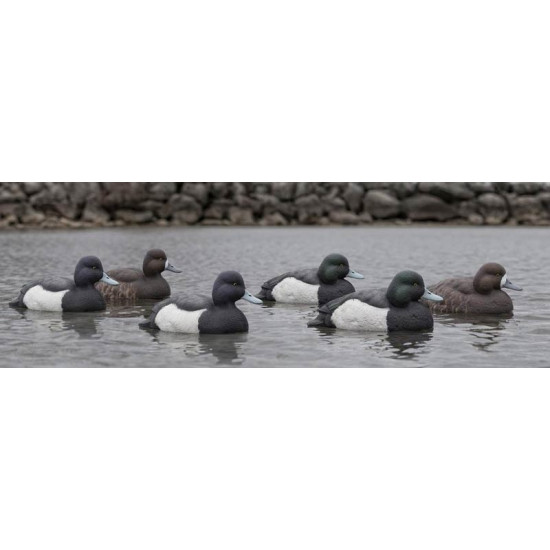 Formes de milouin AvianX pack mixte