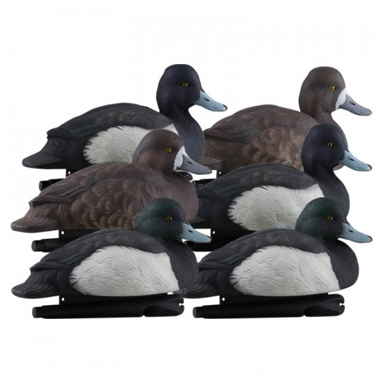 Formes de milouin AvianX pack mixte