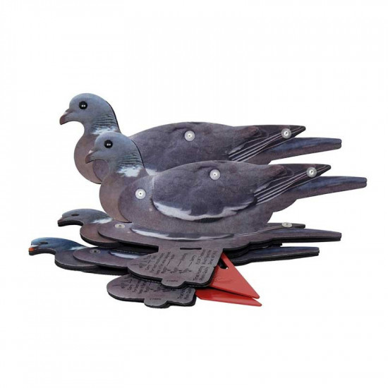 12 formes de pigeon NRA FUD