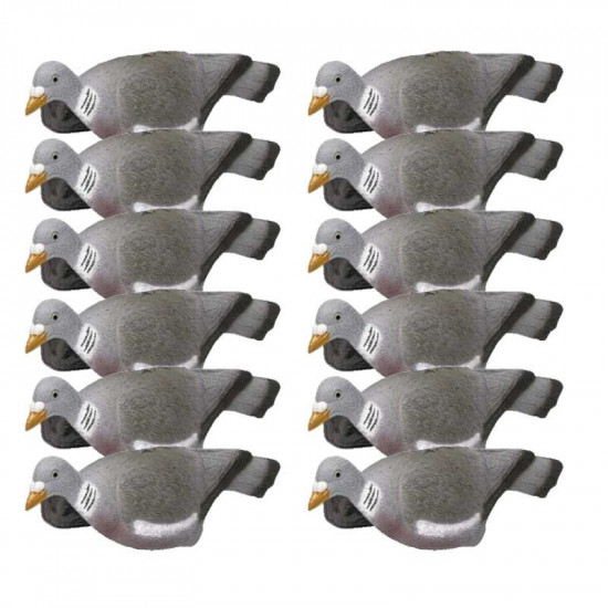 12 formes de pigeon coquille
