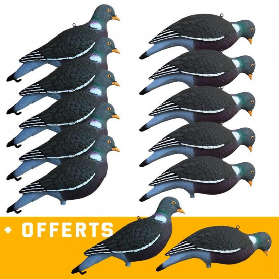 Formes Vision Pigeon HD UV x10