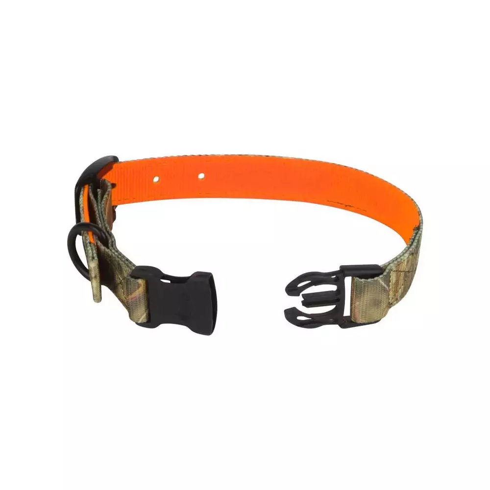 Collier réversible pour chien de chasse Collier réversible...
