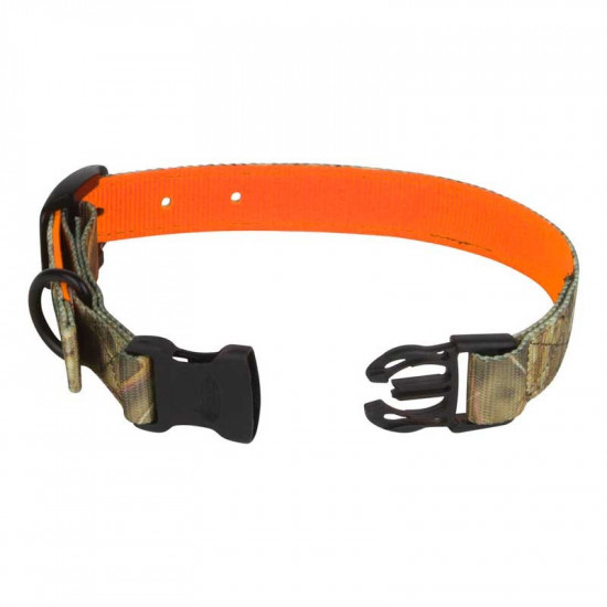 Collier réversible pour chien de chasse