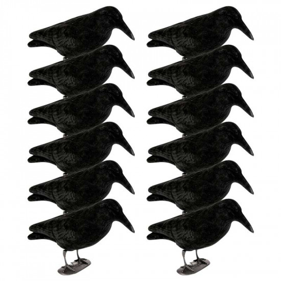Pack de 12 corbeaux sur patte