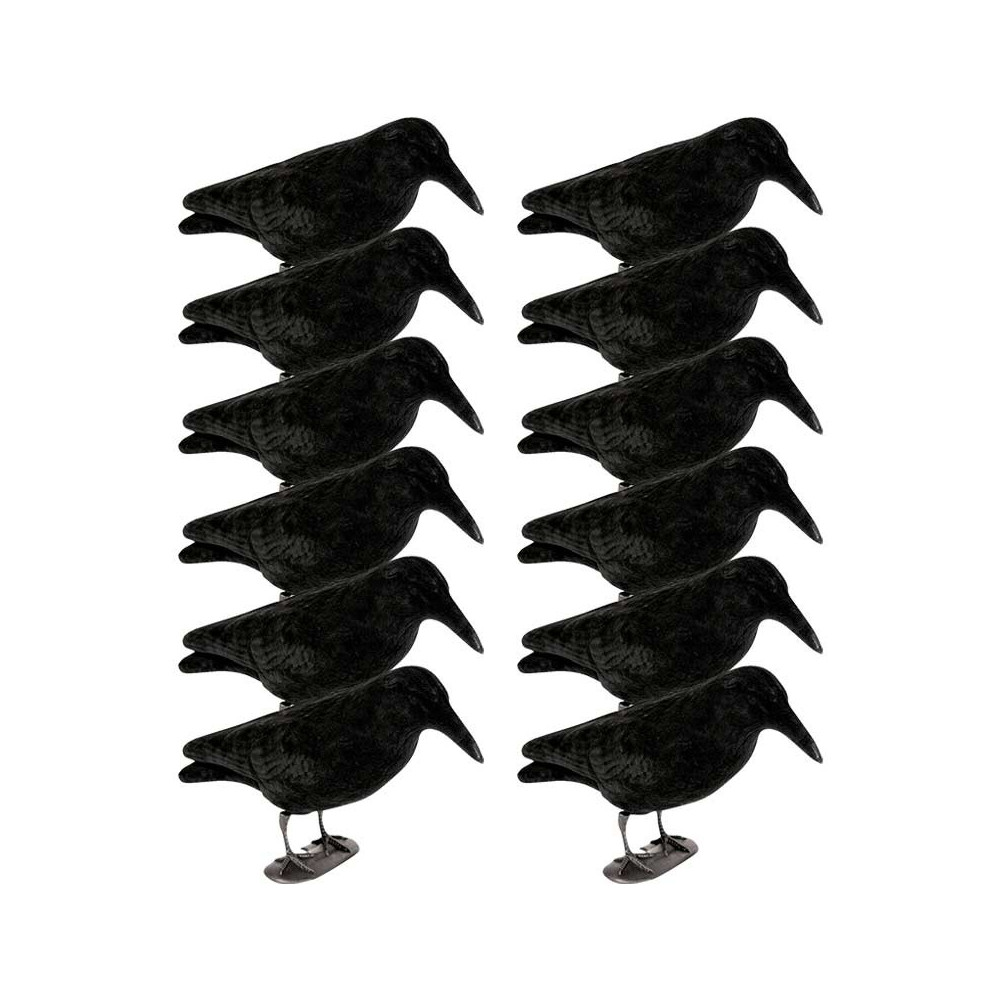 Pack de 12 corbeaux sur patte