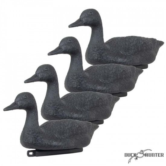 Forme d'oie noire flottante