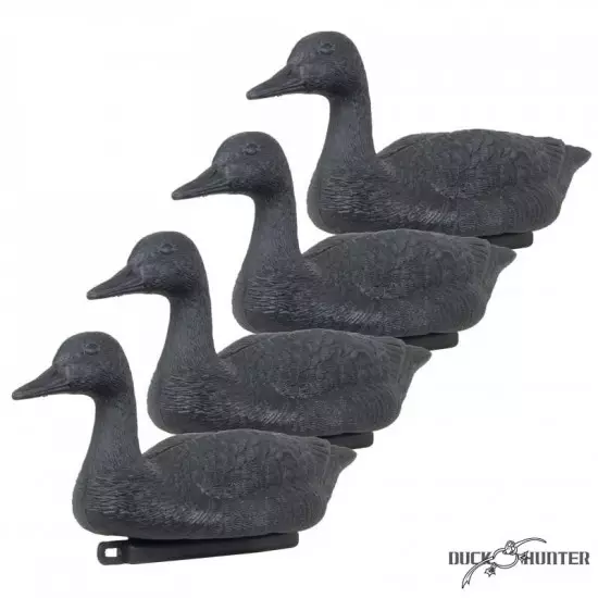 Forme d'oie noire flottante