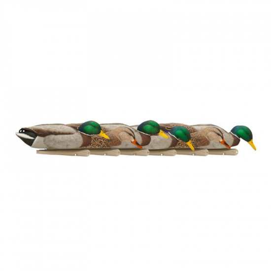 Formes de colvert AvianX actives HD