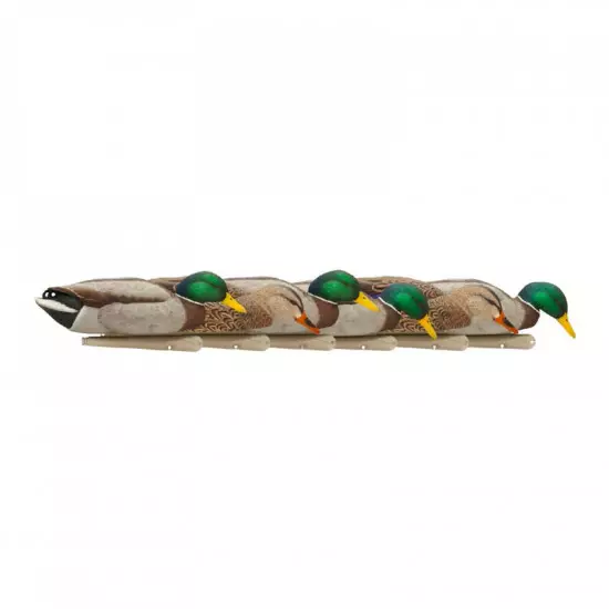 Formes de colvert AvianX actives HD