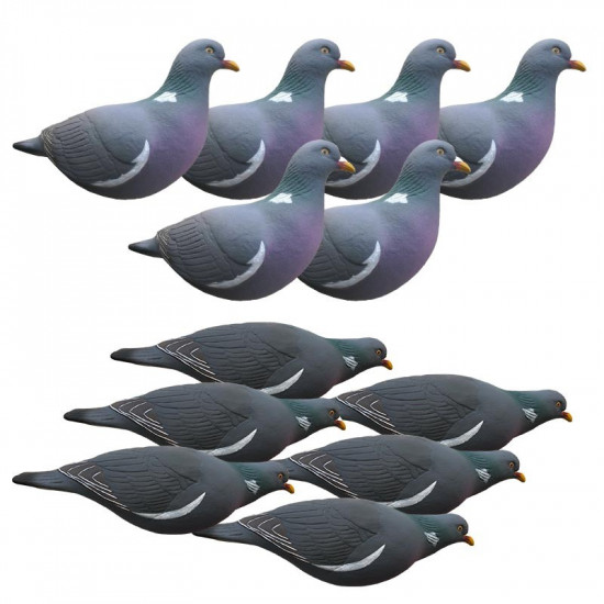 Formes de pigeon Last Pass x12