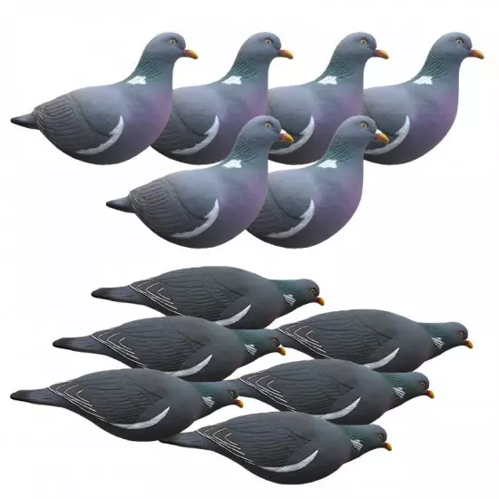 Formes de pigeon Last Pass x12