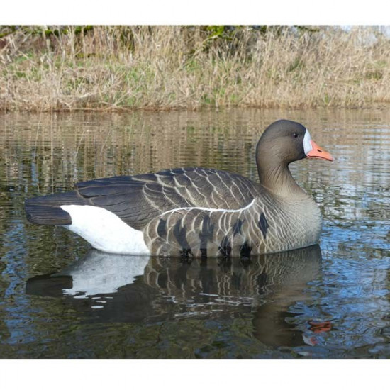 Forme d'oie rieuse flottante HD