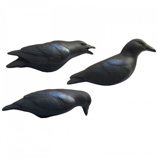 Formes de corbeaux actives magnums x3