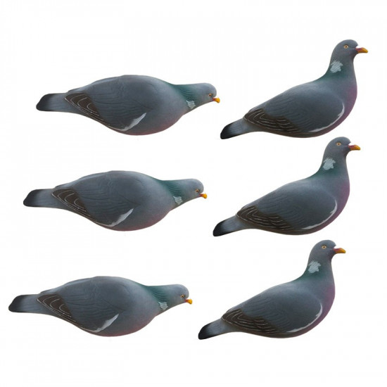 Formes de pigeon floquées Last Pass x6