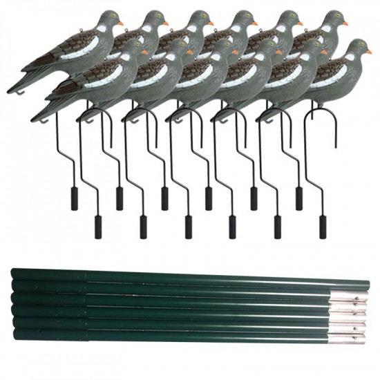 Pack blettage hauteur pigeon