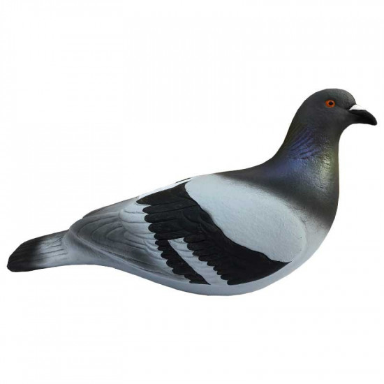 Formes de pigeon biset HD x12