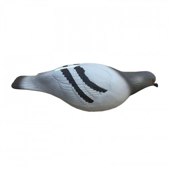 Formes de pigeon biset HD x12