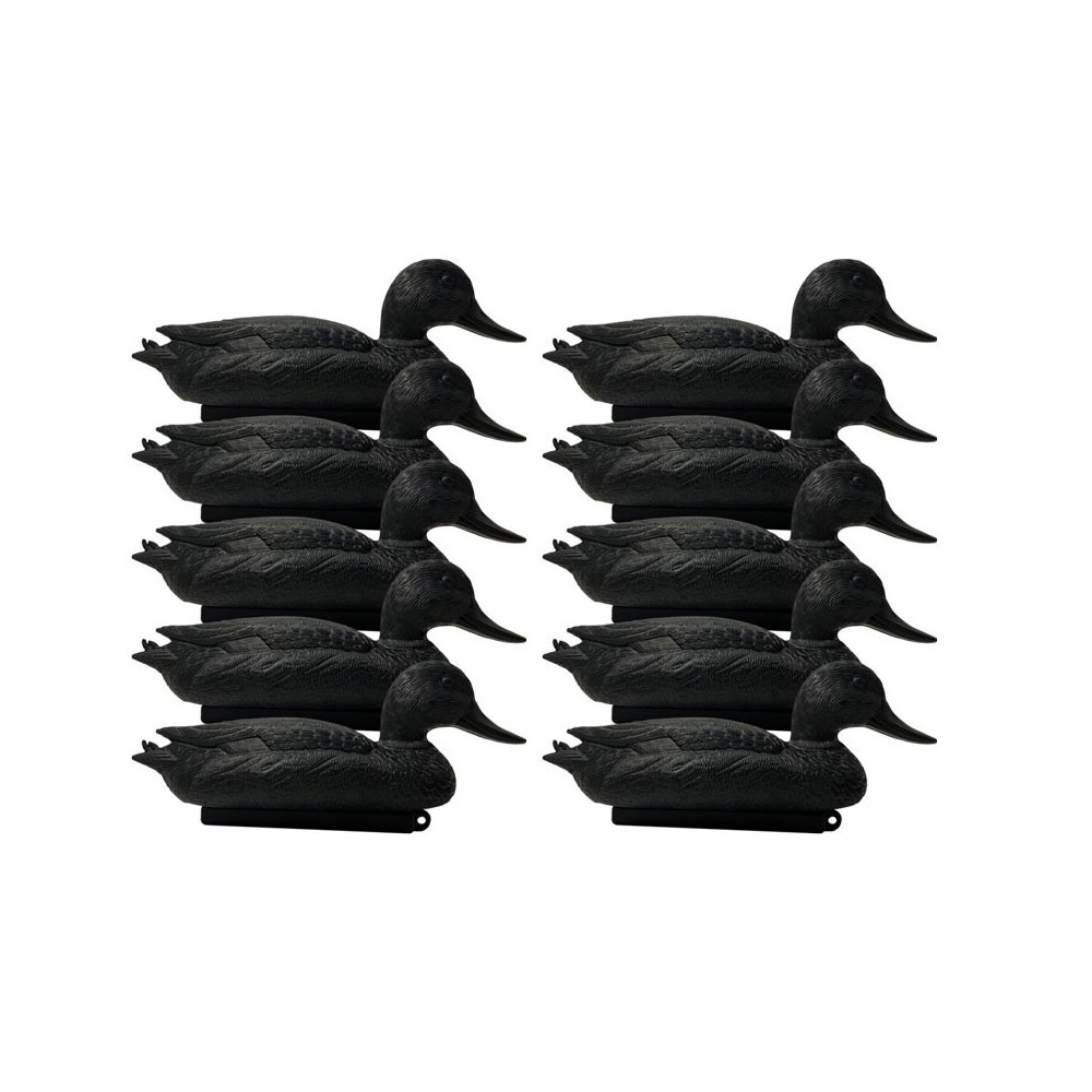 Forme de canard noire x10 Forme de canard noire x10