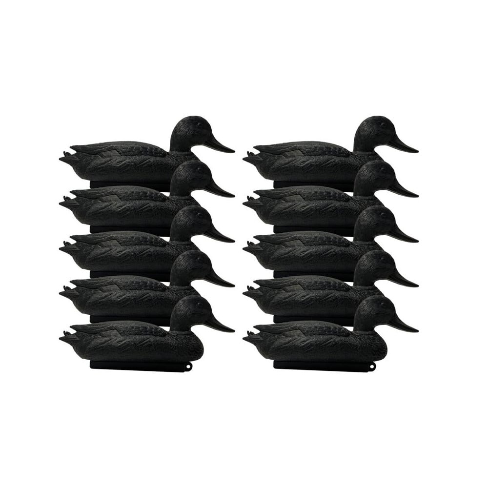 Forme de canard noire x10 Forme de canard noire x10