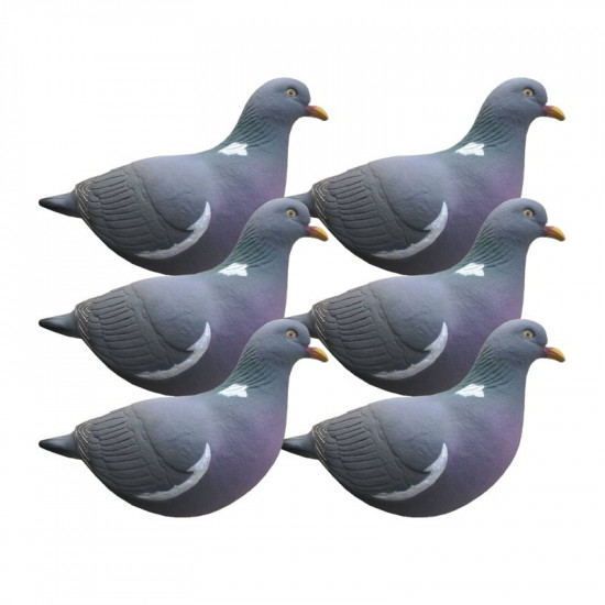 Formes de pigeon actif Last Pass x6